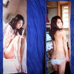 ☆送料無料☆ 石川恋 抱き枕カバー 160cm×50cm (両面印刷、ファスナー付) 2wayトリコット ★