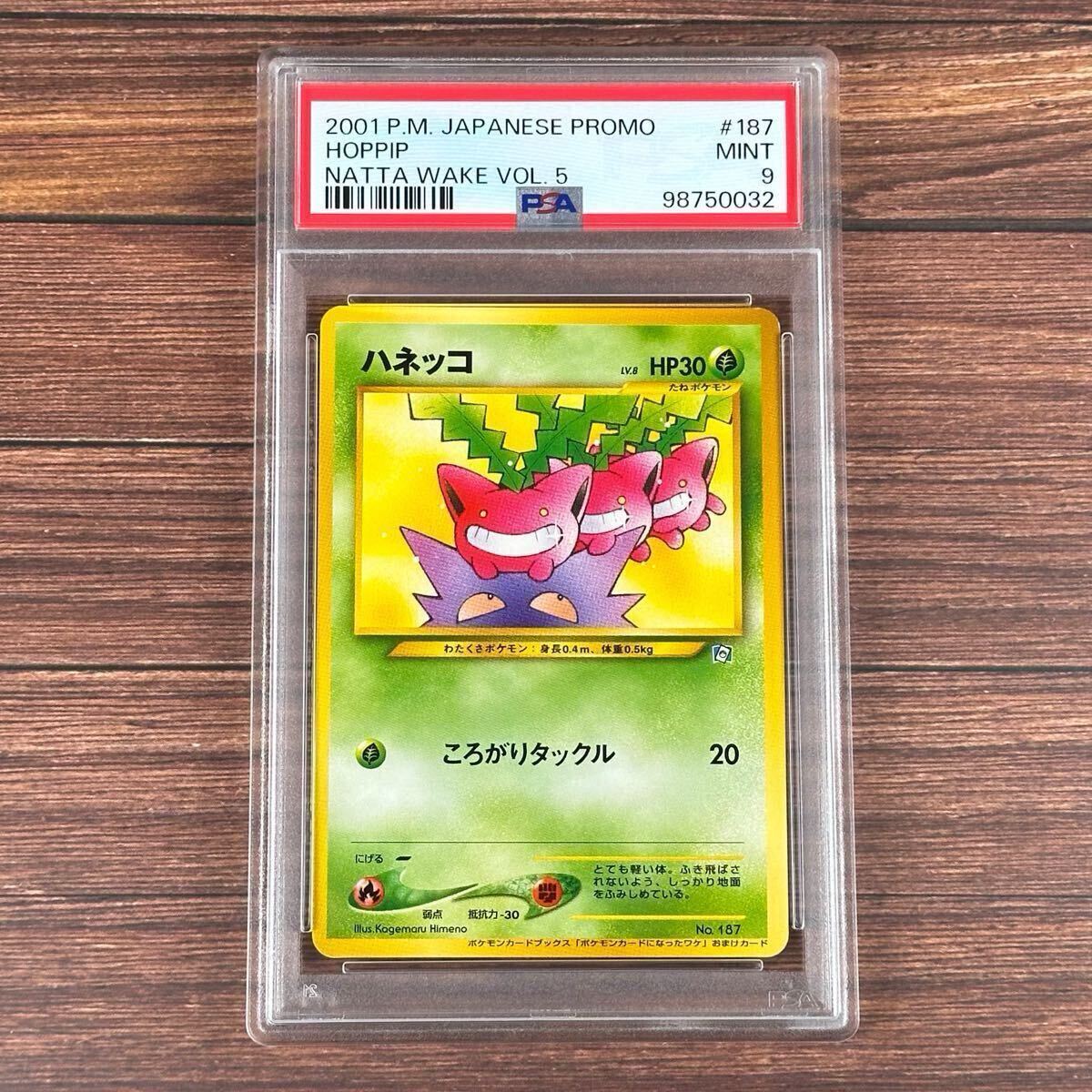 Yahoo!オークション -「vol.5」(ポケモンカードゲーム Yahoo!オークション -「vol.5」(ポケモンカードゲーム
