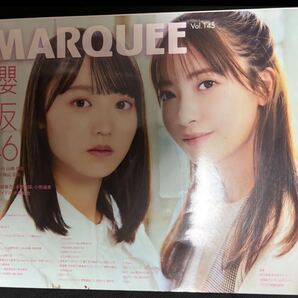 マーキー Vol.145 marquee 雑誌 櫻坂46 大沼晶保 増本綺良
