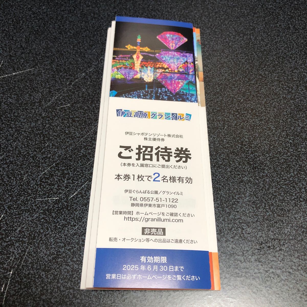 人気TOP Yahoo!オークション -「伊豆グランイルミ」(施設利用券) の落札 Others