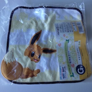 新品未使用 ポケモン イーブイ タオル