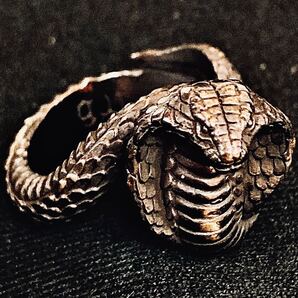 新品 未使用 gunda コブラ リング 15号 ガンダ 指輪 スネーク snake パイソン Python 蛇 gold black hyde Y2K 00s Japanese Label Archive