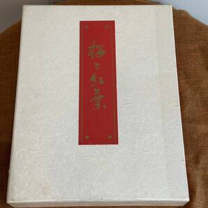 日本通信教育連盟 桜と紅葉 (上)桜爛漫 (下)紅葉錦 売り切り!