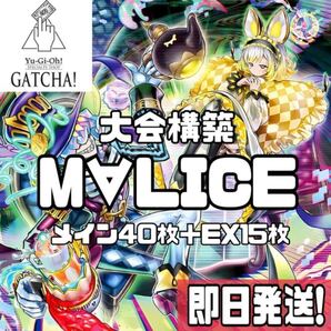 即日発送!大会用M∀LICEマリスデッキ リンクデコーダー リザルドーズ S:Pリトルナイト