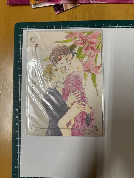 女子妄想症候群(フェロモマニアシンドローム) ポストカード あぶらとり紙 セット 2003花とゆめ17号付録 送料無料