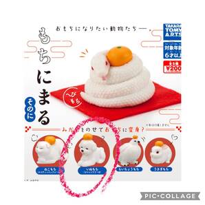 もちにまる そのに いぬもち ビションフリーゼ
