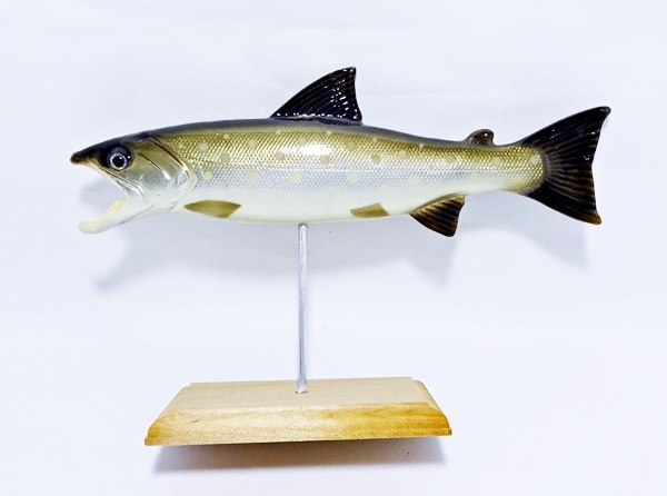 魚フィギュアばら売り 71ywJRH05zL._UF350,350_QL50_.jpg