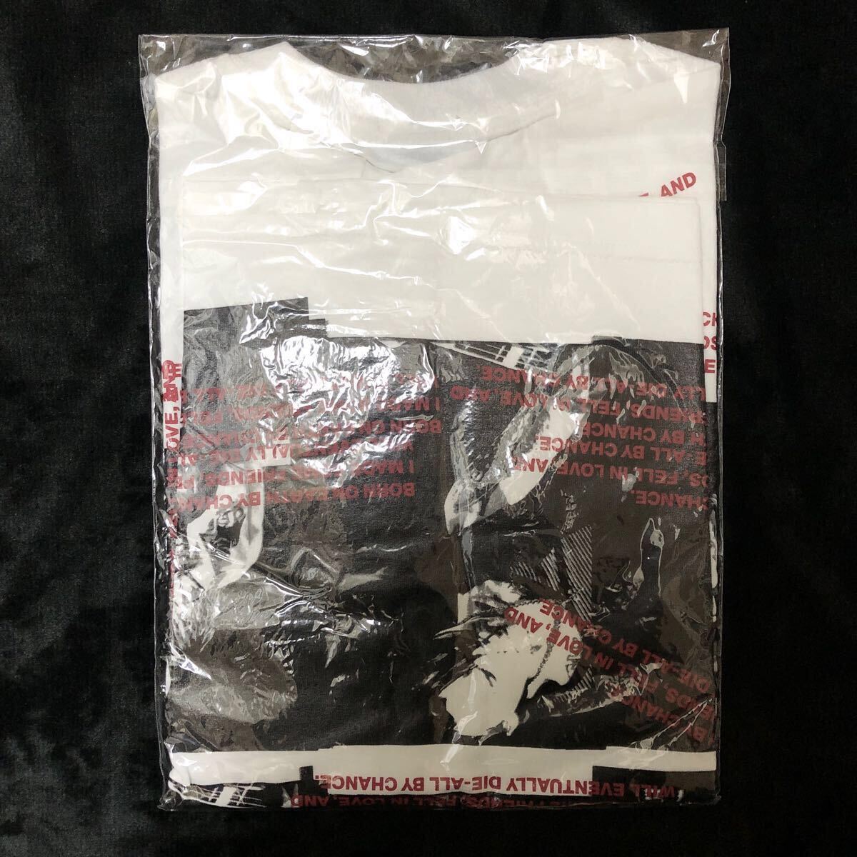 未着用★ブランキージェットシティ2000年ツアーTシャツBLANKEY JET CITY★S★SKUNKタグ★LAST DANCEラストダンス★バンドTシャツ激レア希少 未着用★ブランキージェットシティ2000年ツアーTシャツBLANKEY JET CITY★S★SKUNKタグ★LAST DANCEラストダンス★バンドTシャツ激レア希少