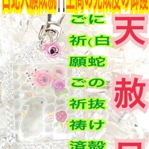 白蛇の抜け殻 うさぎ 卯 12干支 脱け殻 福招鈴 キーホルダー 金箔 メモリーオイル 強力な白蛇のお守り【天赦日ご祈祷済み】財布 25