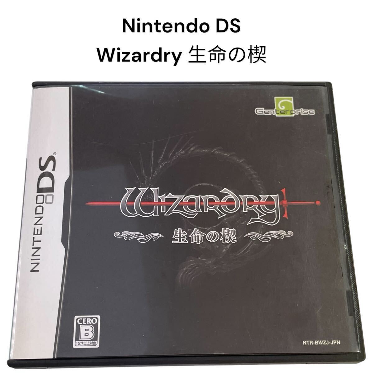 Yahoo!オークション -「wizardry ~生命の楔~」(ゲーム) の落札