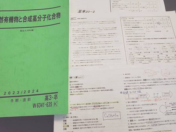 駿台 23年度最新版 山下先生 天然有機物と高分子化合物 テキスト・配布プリントフルセット 河合塾 鉄緑会 Z会 東進 SEG