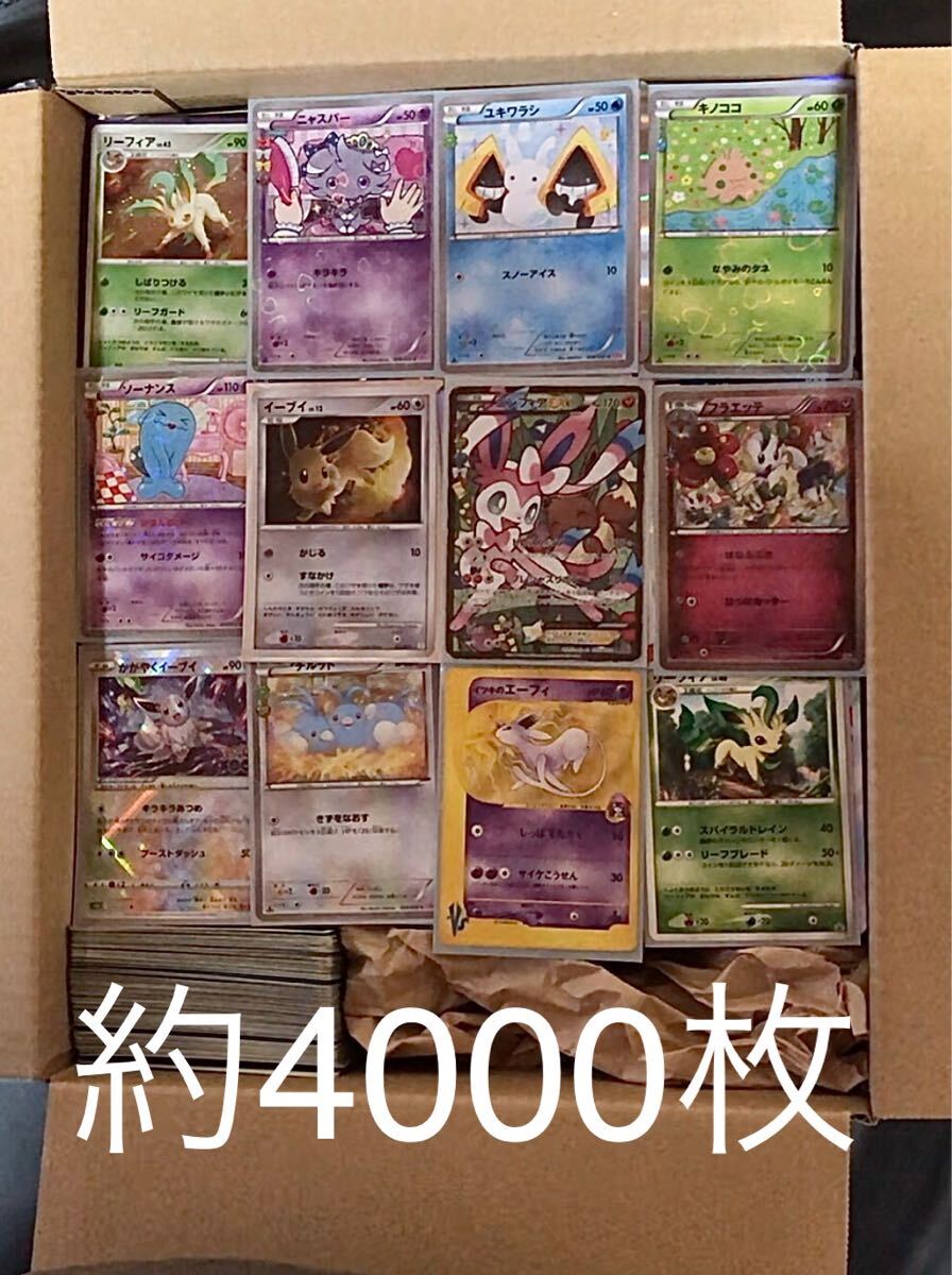 Yahoo!オークション -「ポケキュン ニンフィアex」の落札相場 Yahoo!オークション -「ポケキュン ニンフィアex」の落札相場