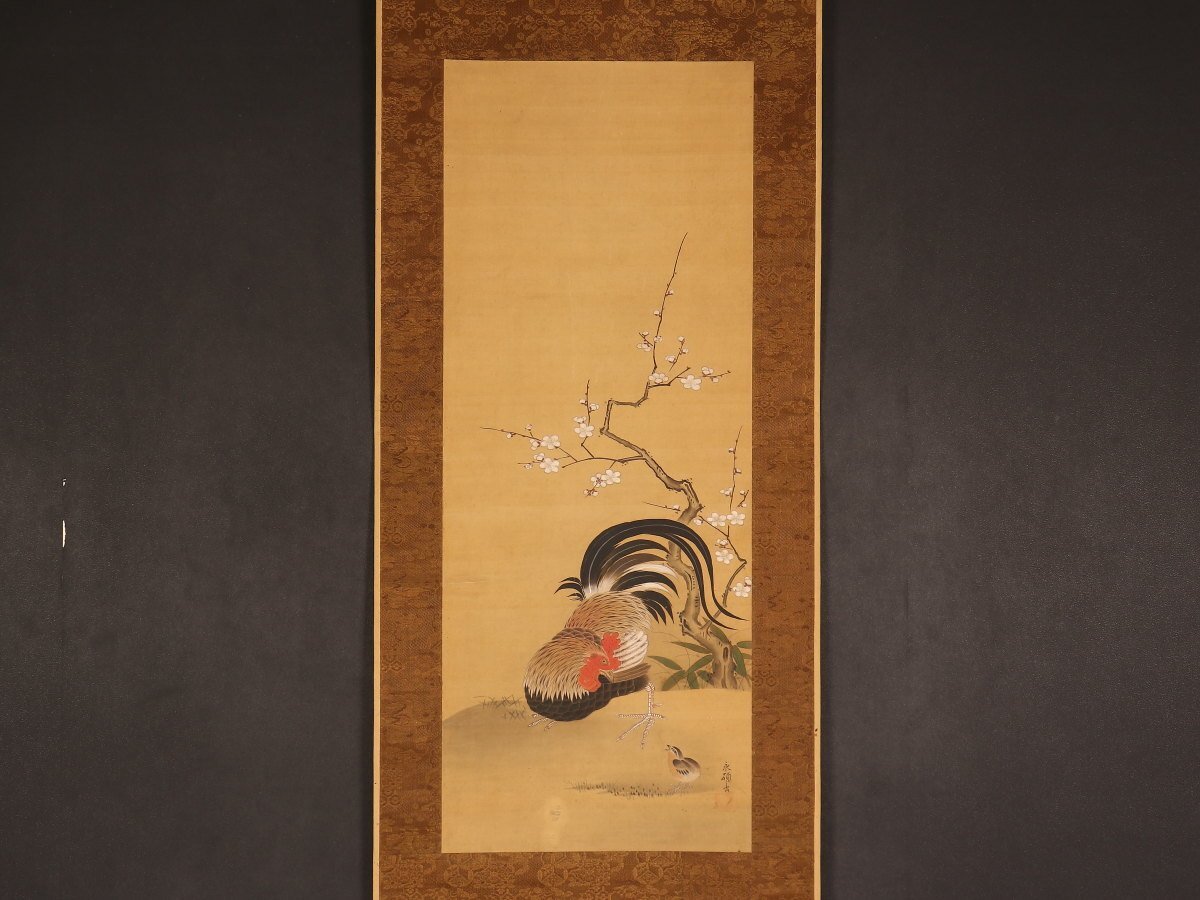 Yahoo!オークション -「掛け軸 狩野」(花鳥、鳥獣) (日本画)の Yahoo!オークション -「掛け軸 狩野」(花鳥、鳥獣) (日本画)の