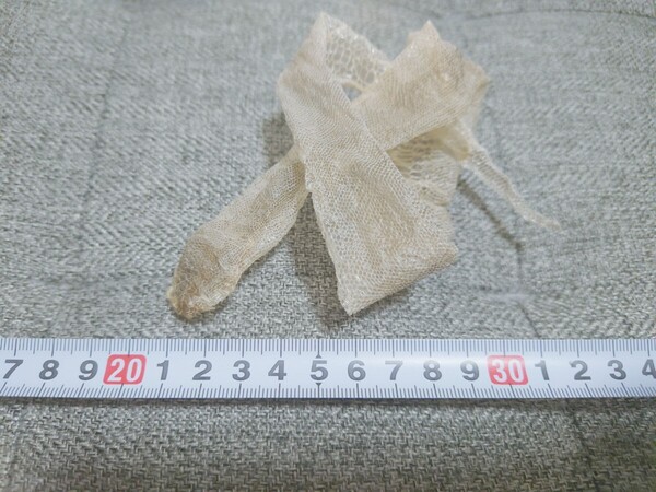 #580 A品蛇の抜け殻 金運アップ 財運上昇 縁起物 風水 厄除け 占い