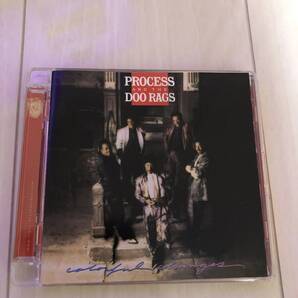 即決CD.process and the doo rags【送料無料】COLOURFUL CHANGES(us black disk guide.process & the doo rags.rice james.teena marie)