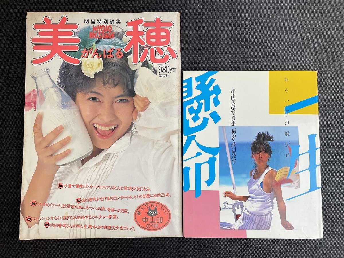 明星特別編集 中山美穂 美穂がんばる 写真集 ポスター 水着