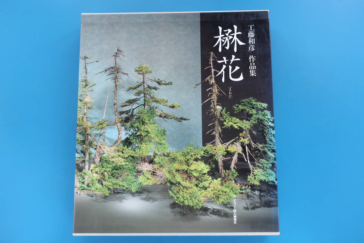 2025年最新】Yahoo!オークション -小原流(本、雑誌)の中古品