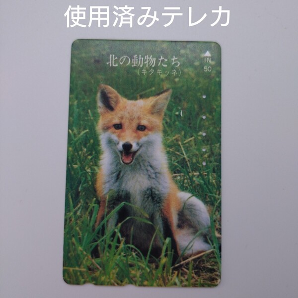 北の動物たち キタキツネ 使用済みテレホンカード テレカ