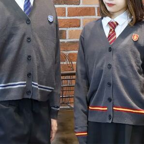 8175. 【未使用タグ付き】Harry Potter ハリーポッター カーディガン ニットワッペン 寮生 グリフィンドール チャコールグレー