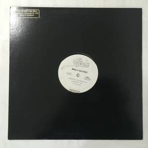 PROMO MOLLY HATCHET TAKE NO PRISONERS US盤