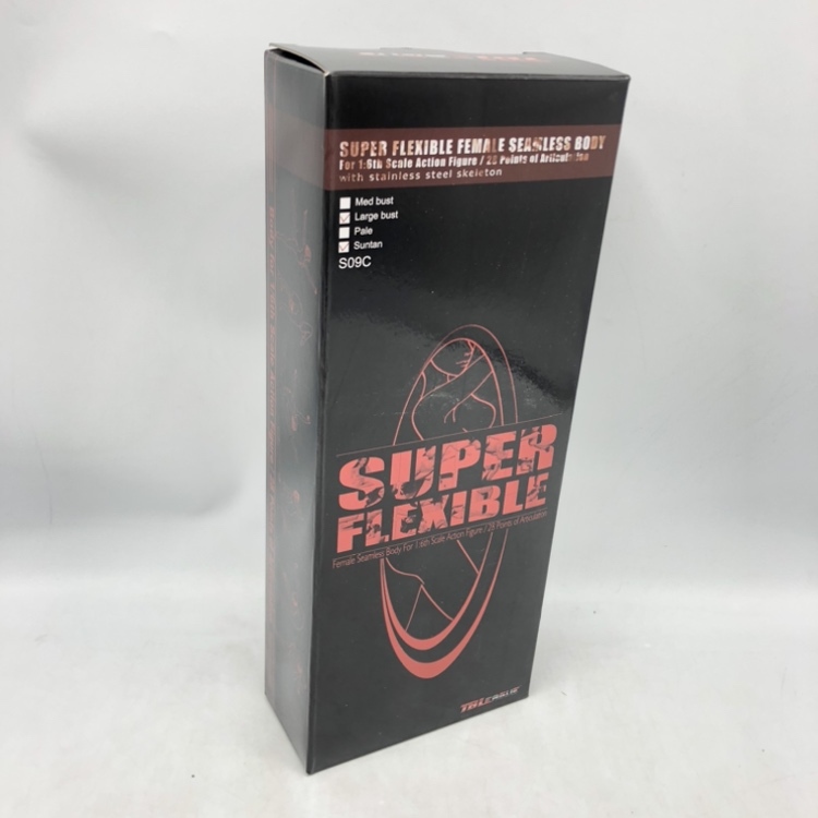 ファイセン・リミテッド 1/6 ファイセン 超柔軟性 スーパーフレキシブル 欧米男性 シームレスボディ ボディービルダータイプ PL2016-M33