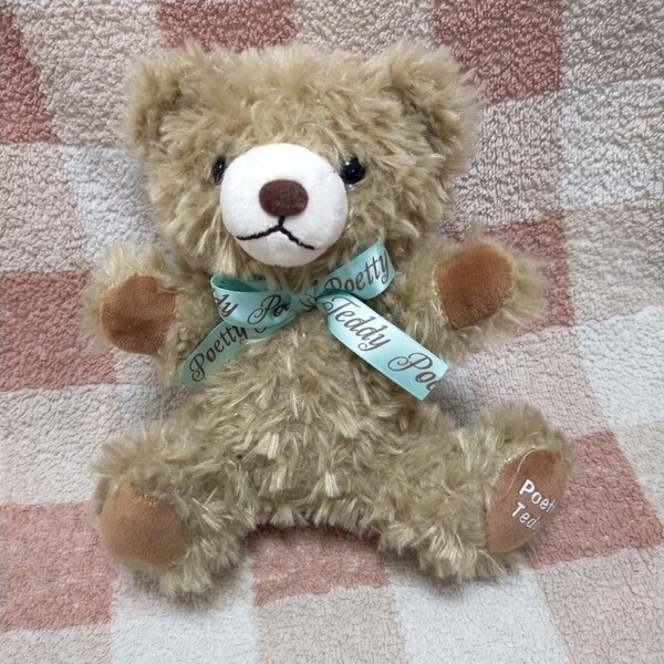 ポエッティテディ クルミ ぬいぐるみ テディベア ブラウン くま 熊