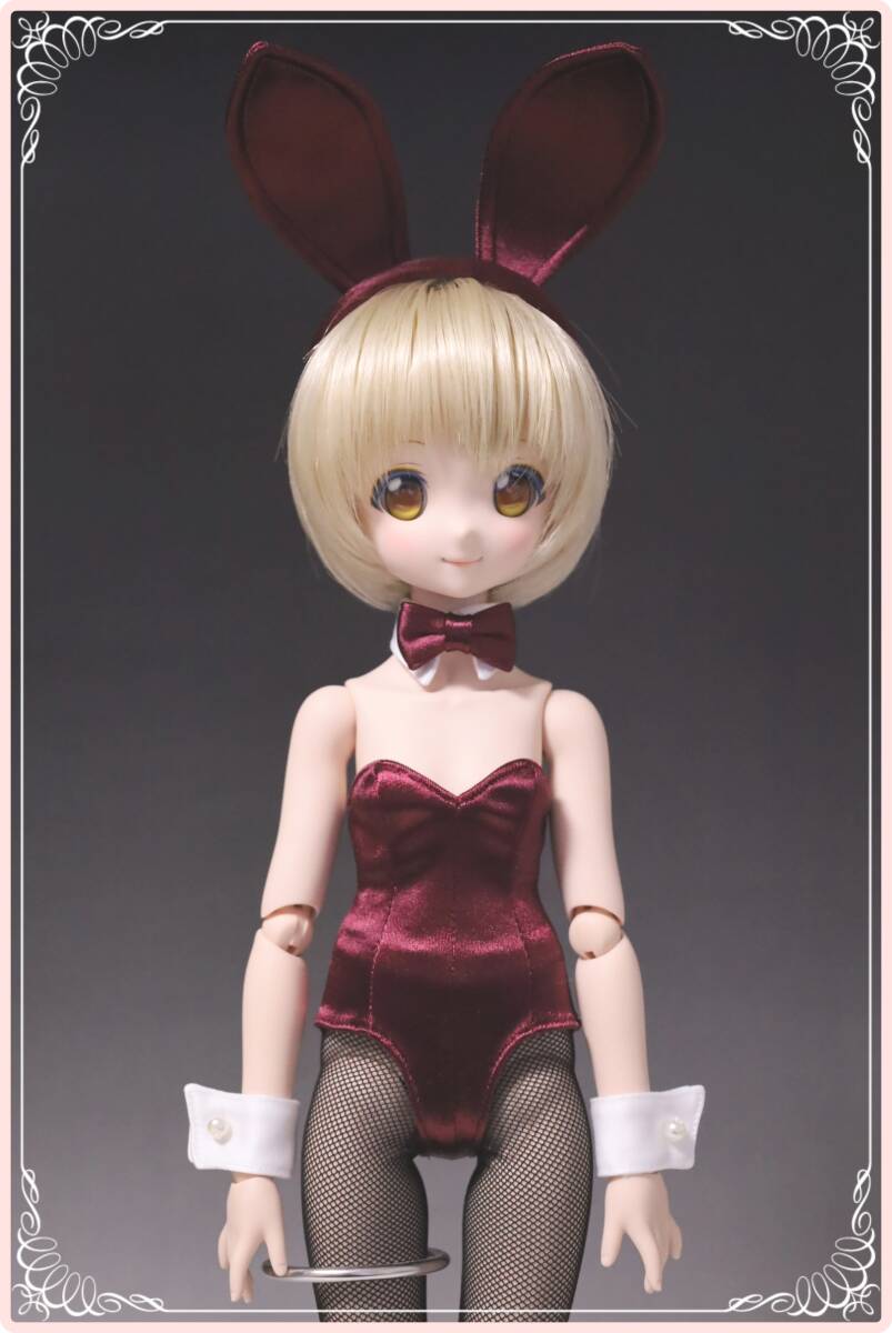 Yahoo!オークション -「バニーガールコスチューム」(ドルフィー