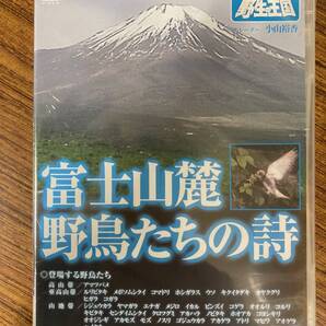 DVD ネイチャーシリーズ 野生の王国 富士山麓 野鳥たちの詩 DVD