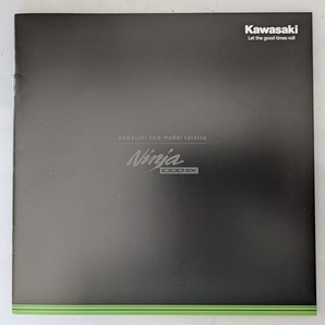 ニンジャ 1000SX / Ninja 1000SX (2BL-ZXT02K) 車体カタログ 2020年3月 古本・送料無料 管理№ 7693 MC
