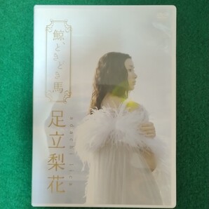 美品 足立梨花 イメージDVD/鯨,ときどき馬。