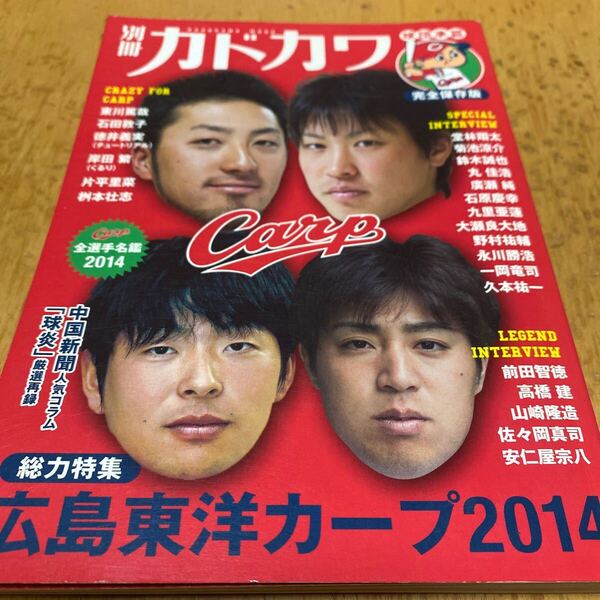 別冊カドカワ 総力特集 広島東洋カープ2014/KADOKAWA