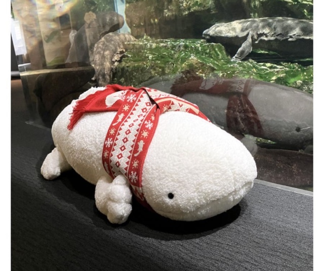 Yahoo!オークション -「オオサンショウウオ ぬいぐるみ