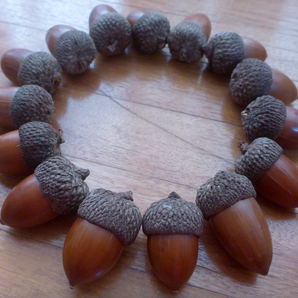 【2024年収穫】日焼けしたドングリ 15個