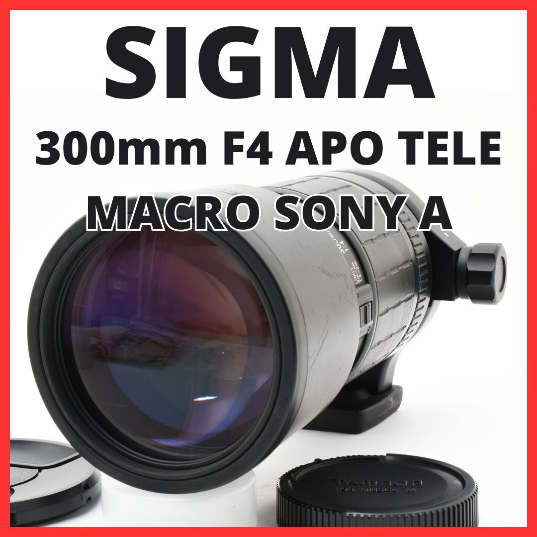 Yahoo!オークション -「apo tele macro 300mm f4」の落札相場 Yahoo!オークション -「apo tele macro 300mm f4」の落札相場