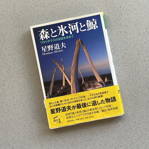 森と氷河と鯨 ワタリガラスの伝説を求めて 星野道夫・著