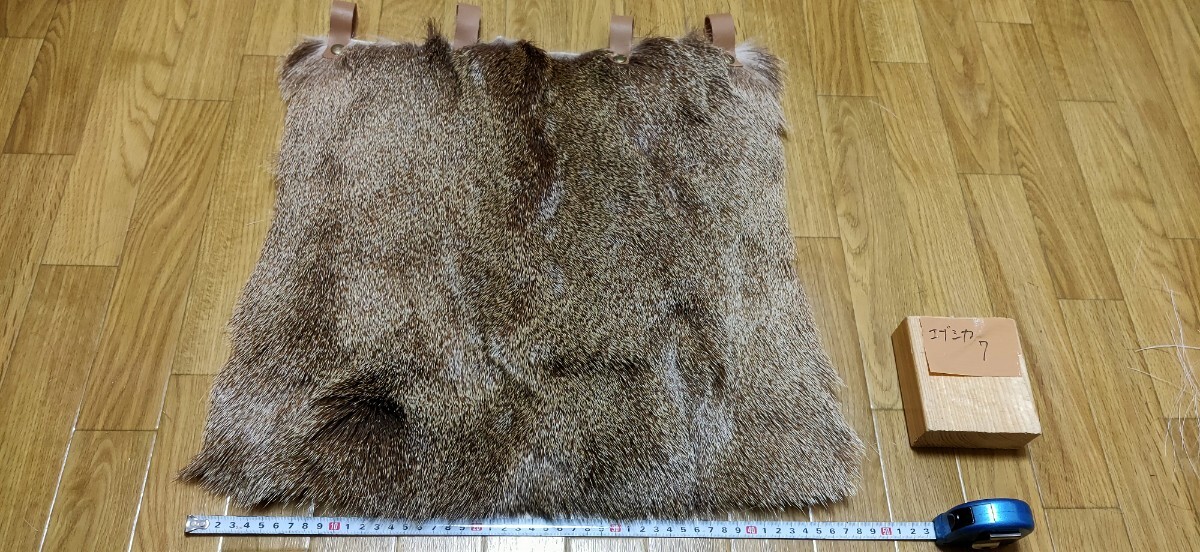 蝦夷鹿 毛皮 ① 2025年最新】Yahoo!オークション -鹿 毛皮の中古品・新品・未