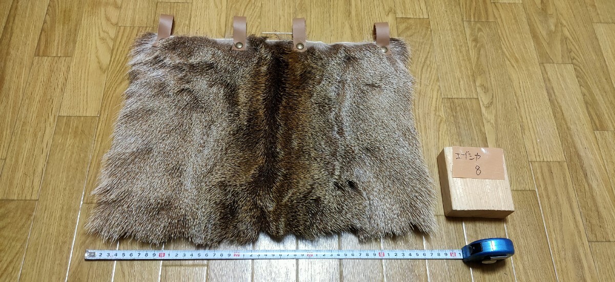 尻皮･熊(LL) 061.jpg?fitin=272:272