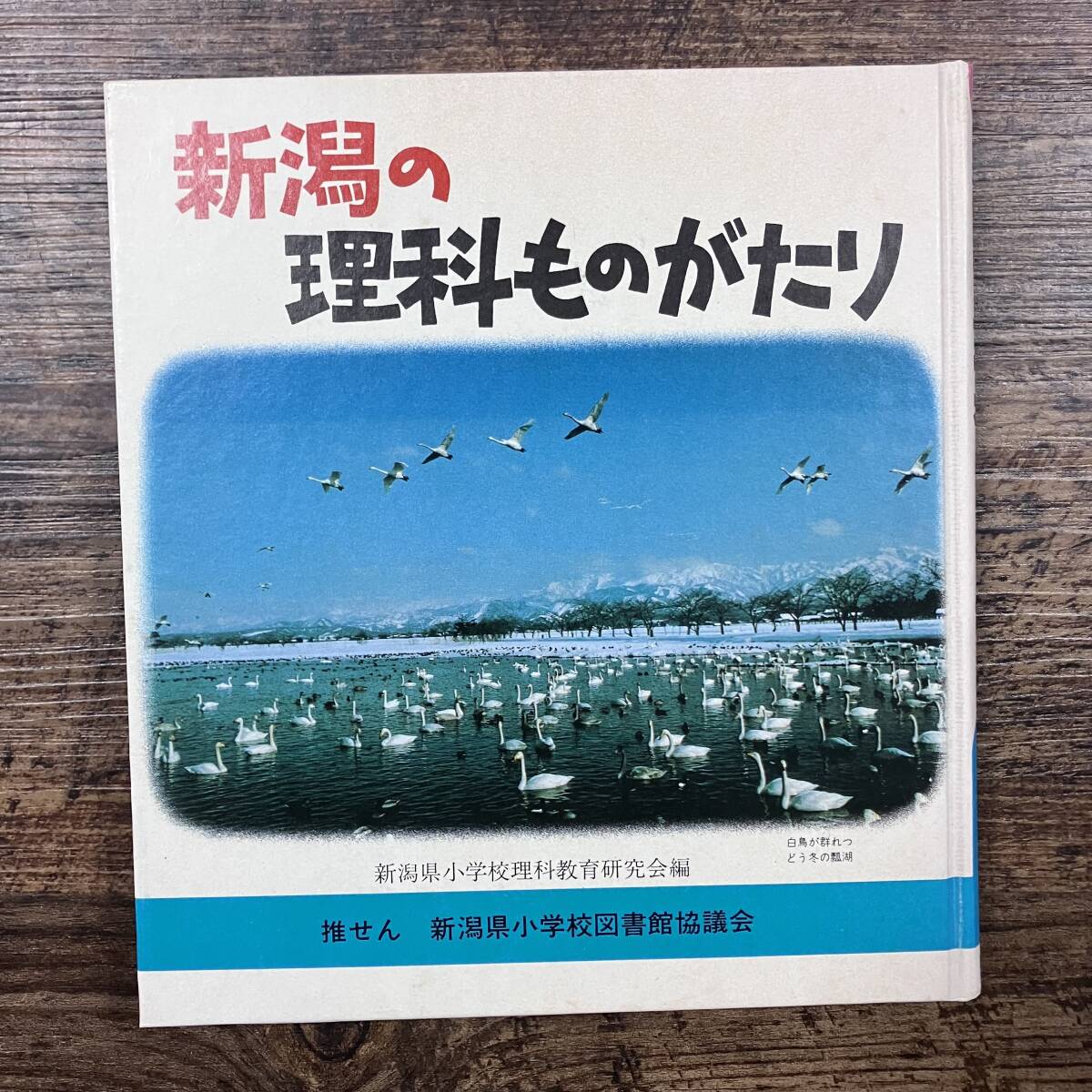 2024年最新】Yahoo!オークション -#理科教育(本、雑誌)の中古品・新品・古本一覧 2024年最新】Yahoo!オークション -#理科教育(本、雑誌)の中古品・新品・古本一覧