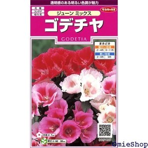 サカタのタネ 実咲花5190 ゴデチヤ ジューンミックス 00905190 1056