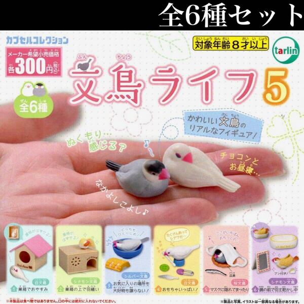 ■送料無料■ 文鳥ライフ5 全6種セット /小鳥/シルバー/シナモン/桜/白/ミニチュア/フィギュア/コレクション/ガチャ