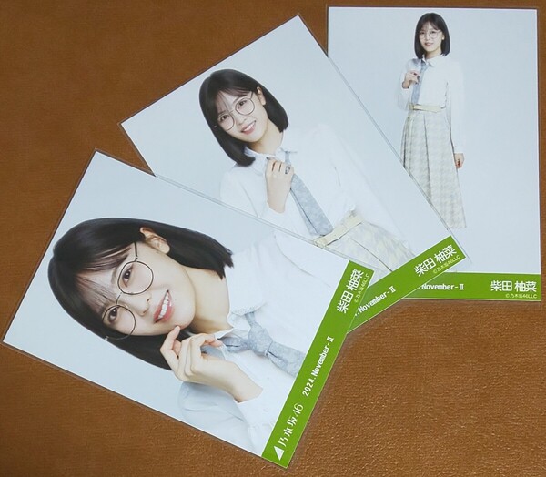 乃木坂46 柴田柚菜 メガネコーデ Web限定 生写真 3種 2024.November-Ⅱ コンプ 眼鏡コーデ