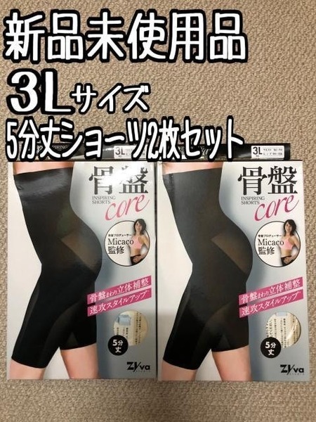 新品☆3L♪5分丈骨盤インスパイリングショーツ2枚セット〇A884