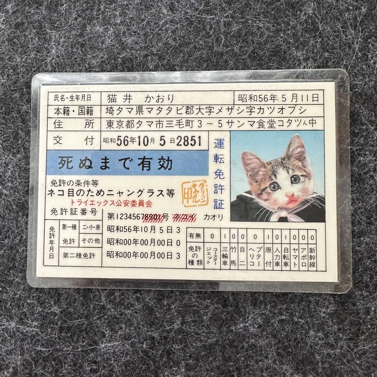 なめ猫 免許証（3枚）&カード（23枚） 合計26枚 - メルカリ