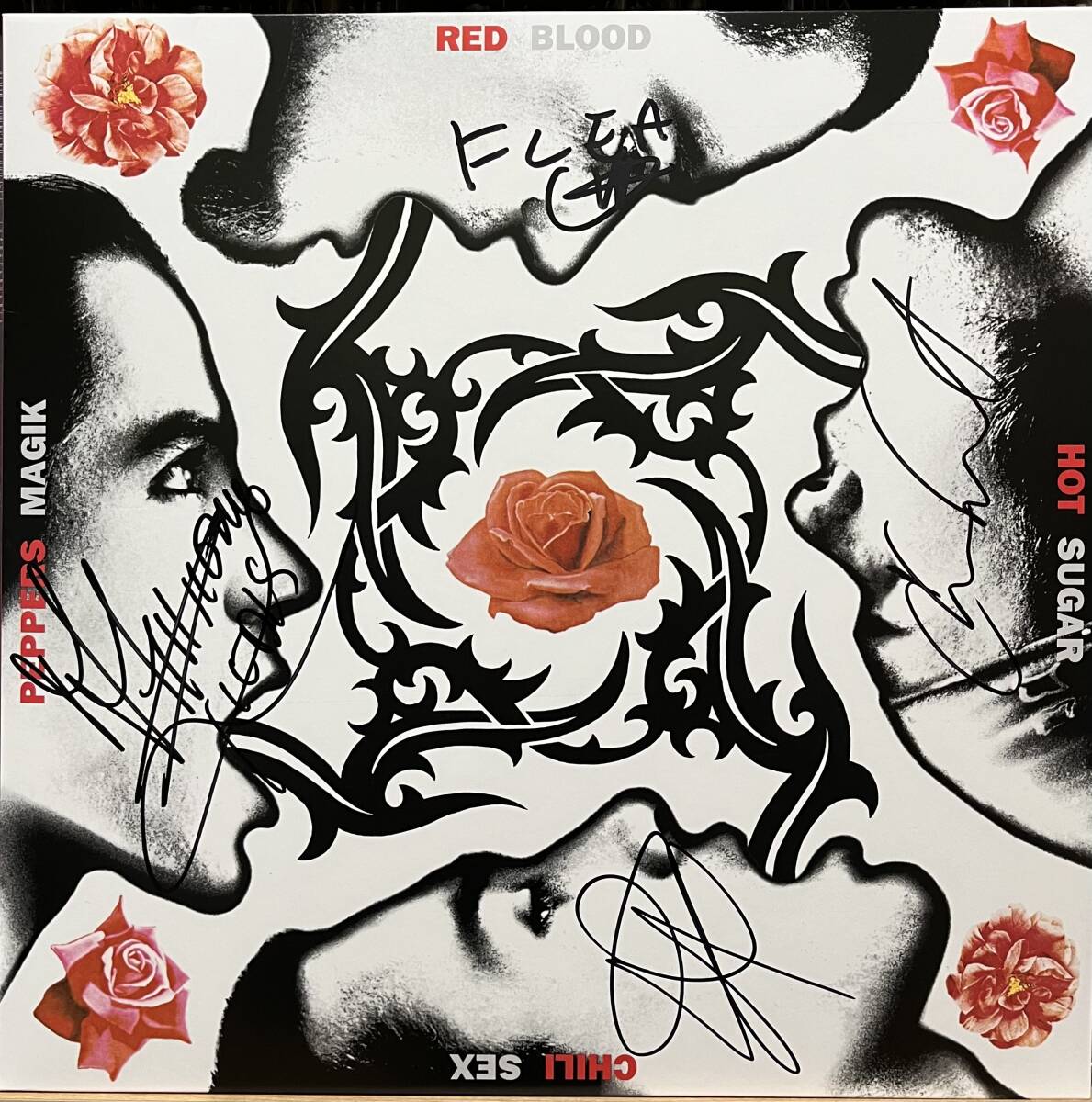 Yahoo!オークション -「red hot chili peppers blood」の落札 Yahoo!オークション -「red hot chili peppers blood」の落札