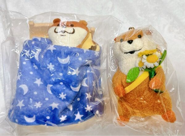 可愛い嘘のカワウソ ぬいぐるみ セット売り