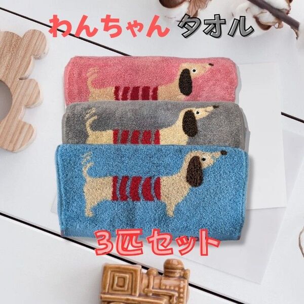 かわいいドッグ柄タオル 3種セット 犬柄 ハンドタオル 子供フェイスタオル 652