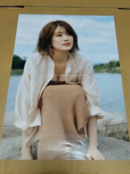 乃木坂46 樋口日奈 写真集『恋人のように』封入特典ポスター④
