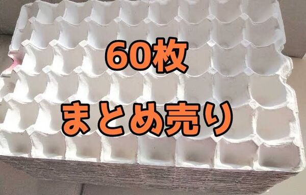 卵トレー 60枚 コオロギ等の飼育マット、デュビアファーム、防音材や梱包材等にも 卵パック卵トレイ 紙製品