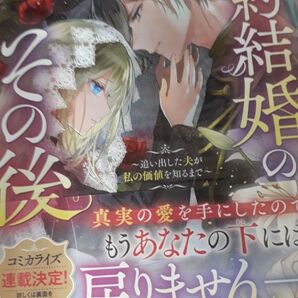 契約結婚のその後 追い出した夫が私の価値を知るまで (Kラノベブックスf) 影茸/作