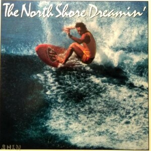 LPレコード　 V.A. / THE NORTH SHORE DREAMIN'